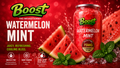 Watermelon Mint (6 Pack)