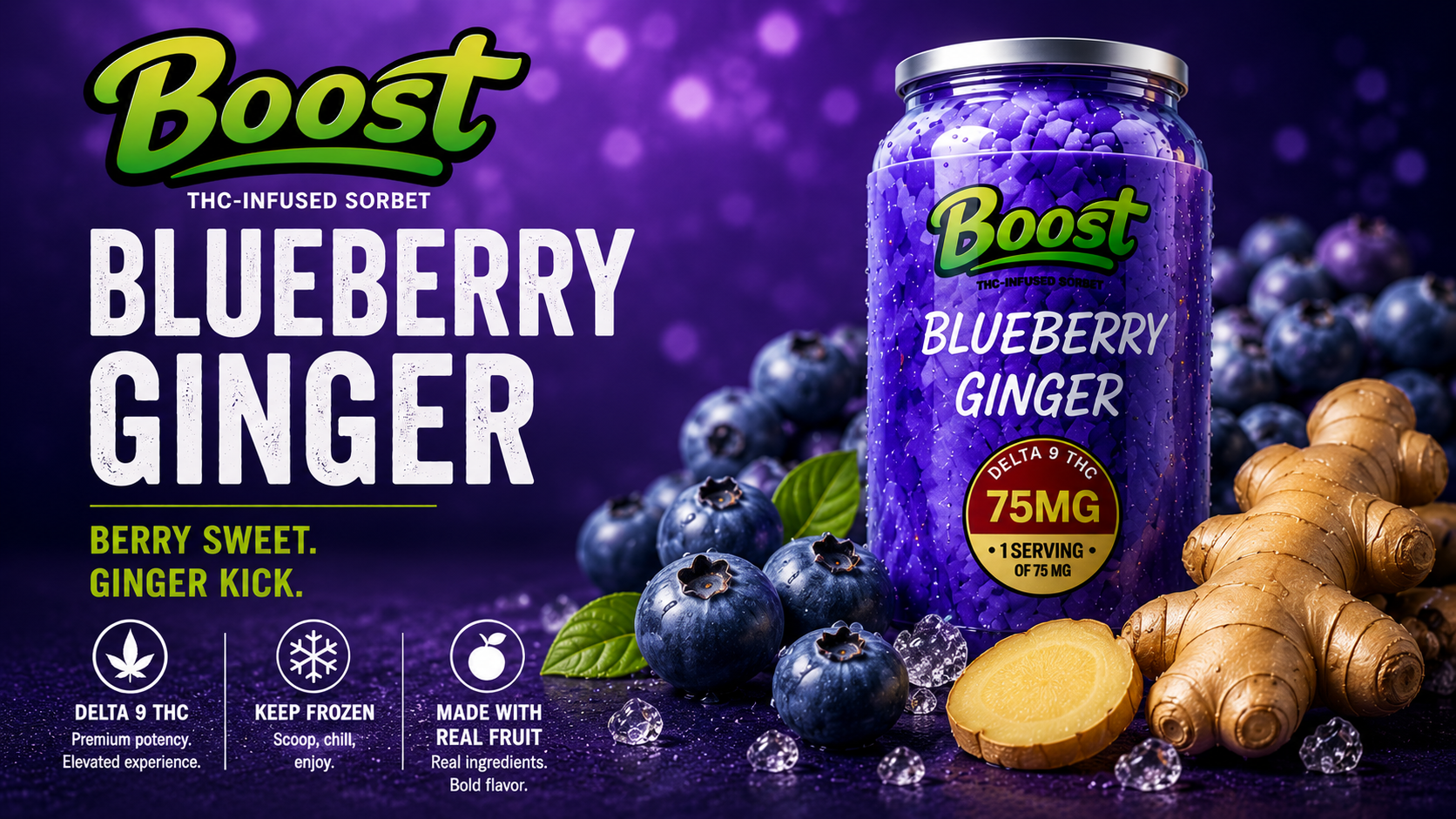 Blueberry Ginger (6 Pack)